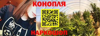 прущие грибы Шебекино