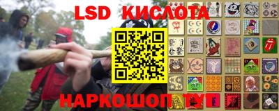 дмт Шелехов