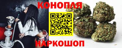 прущие грибы Шебекино