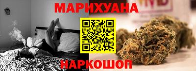 дмт Шелехов