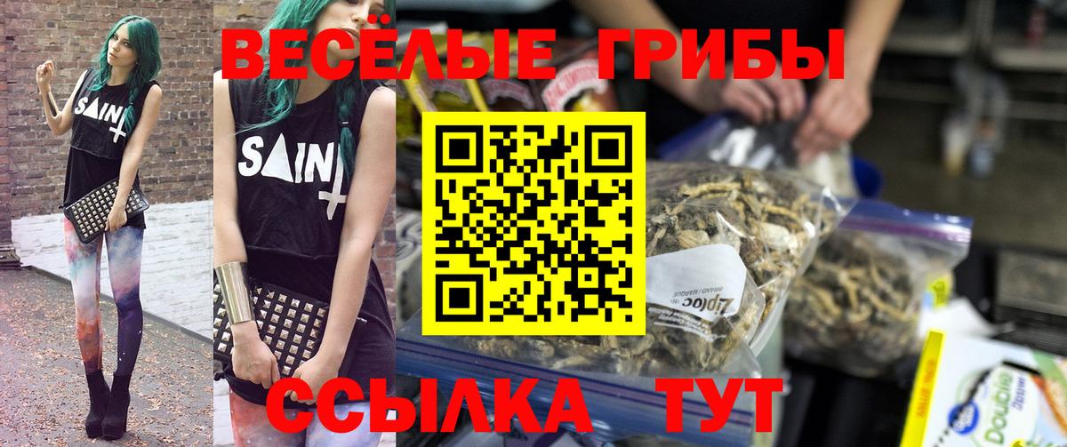 Псилоцибиновые грибы GOLDEN TEACHER  Вход с VPN  Псилоцибиновые грибы прущие грибы  Бахчисарай 